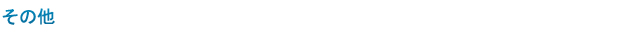 その他